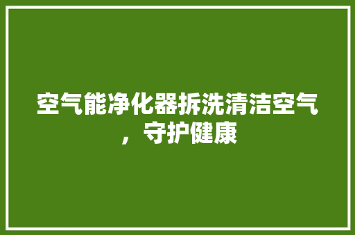 空气能净化器拆洗清洁空气，守护健康 家电维修