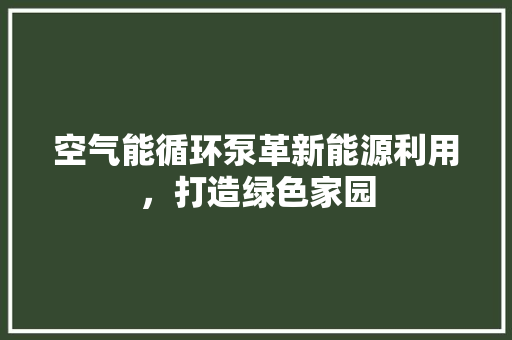 空气能循环泵革新能源利用，打造绿色家园