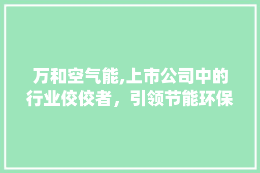 万和空气能,上市公司中的行业佼佼者，引领节能环保新潮流_万和空气能是上市公司吗 万和空气能,上市公司中的行业佼佼者，引领节能环保新潮流_万和空气能是上市公司吗 汽车维修