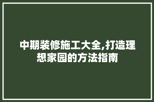 中期装修施工大全,打造理想家园的方法指南 中期装修施工大全,打造理想家园的方法指南 厨房维修