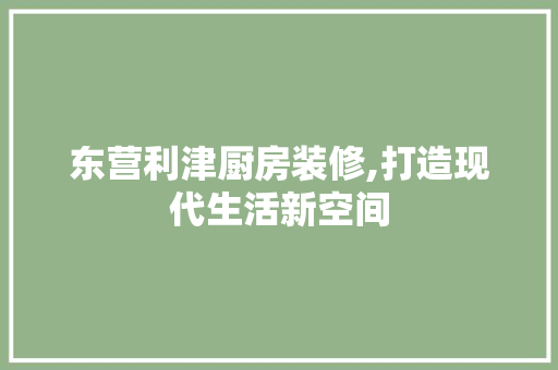 东营利津厨房装修,打造现代生活新空间