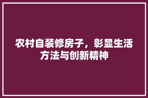 农村自装修房子，彰显生活方法与创新精神