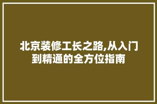 北京装修工长之路,从入门到精通的全方位指南 北京装修工长之路,从入门到精通的全方位指南 墙体维修