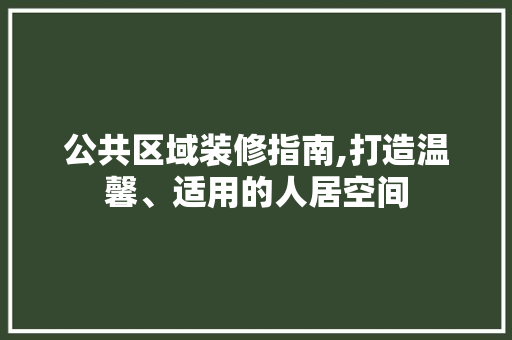 公共区域装修指南,打造温馨、适用的人居空间