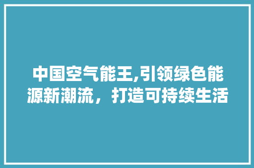 中国空气能王,引领绿色能源新潮流，打造可持续生活新标杆_中国空气能王 中国空气能王,引领绿色能源新潮流，打造可持续生活新标杆_中国空气能王 家电维修