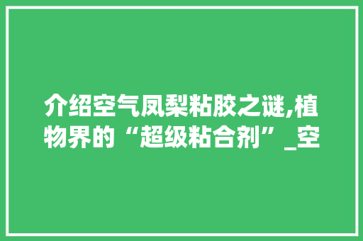 介绍空气凤梨粘胶之谜,植物界的“超级粘合剂”_空气凤梨能粘胶吗 介绍空气凤梨粘胶之谜,植物界的“超级粘合剂”_空气凤梨能粘胶吗 综合便民