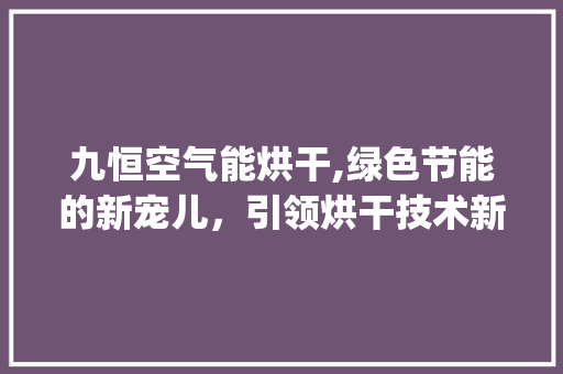九恒空气能烘干,绿色节能的新宠儿，引领烘干技术新潮流_九恒空气能烘干 九恒空气能烘干,绿色节能的新宠儿，引领烘干技术新潮流_九恒空气能烘干 汽车维修