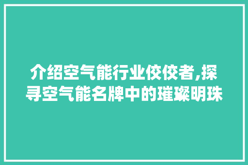 介绍空气能行业佼佼者,探寻空气能名牌中的璀璨明珠_空气能什么名牌最好
