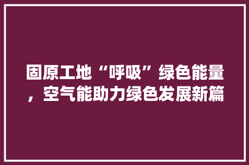 固原工地“呼吸”绿色能量，空气能助力绿色发展新篇章_固原工地用空气能
