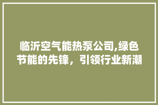 临沂空气能热泵公司,绿色节能的先锋，引领行业新潮流_临沂空气能热泵公司 临沂空气能热泵公司,绿色节能的先锋，引领行业新潮流_临沂空气能热泵公司 家电维修