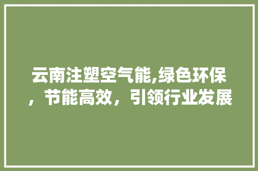 云南注塑空气能,绿色环保，节能高效，引领行业发展新潮流_云南注塑空气能商家 云南注塑空气能,绿色环保，节能高效，引领行业发展新潮流_云南注塑空气能商家 家电维修