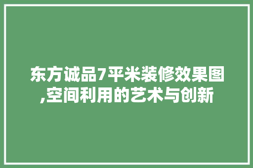 东方诚品7平米装修效果图,空间利用的艺术与创新