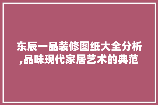 东辰一品装修图纸大全分析,品味现代家居艺术的典范