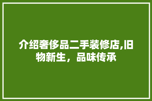 介绍奢侈品二手装修店,旧物新生，品味传承