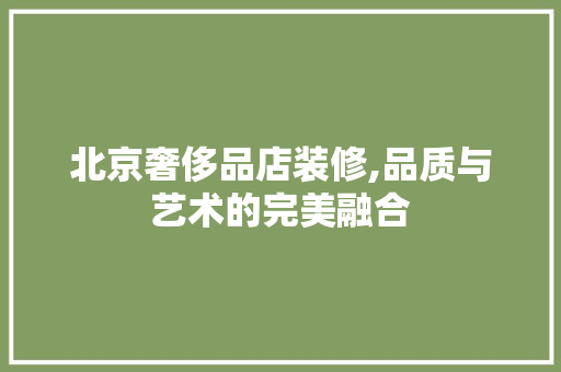 北京奢侈品店装修,品质与艺术的完美融合