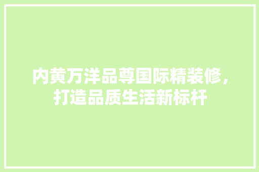 内黄万洋品尊国际精装修，打造品质生活新标杆