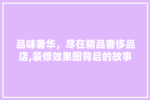 品味奢华，尽在精品奢侈品店,装修效果图背后的故事与启示