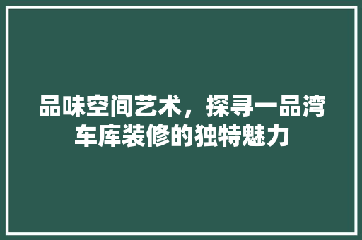 品味空间艺术，探寻一品湾车库装修的独特魅力