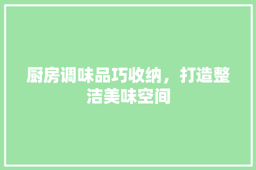 厨房调味品巧收纳，打造整洁美味空间