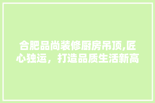 合肥品尚装修厨房吊顶,匠心独运，打造品质生活新高度