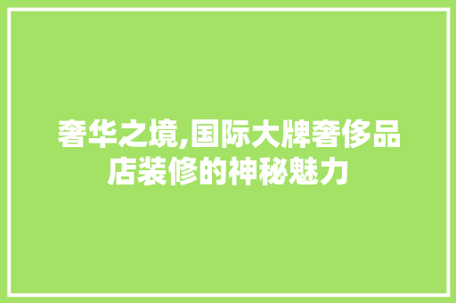 奢华之境,国际大牌奢侈品店装修的神秘魅力