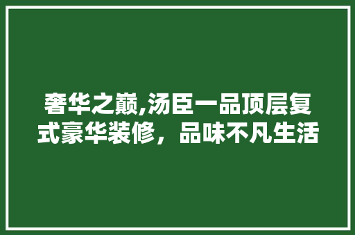 奢华之巅,汤臣一品顶层复式豪华装修，品味不凡生活境界