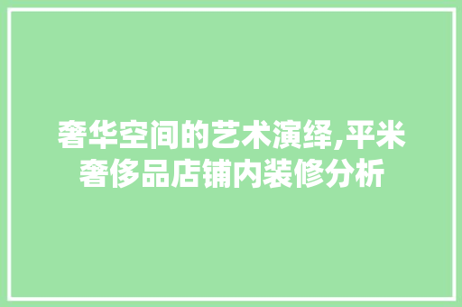 奢华空间的艺术演绎,平米奢侈品店铺内装修分析