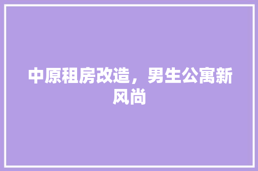 中原租房改造，男生公寓新风尚 厨房维修