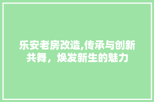 乐安老房改造,传承与创新共舞，焕发新生的魅力