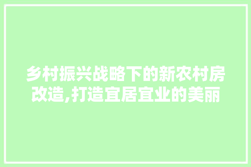 乡村振兴战略下的新农村房改造,打造宜居宜业的美丽家园