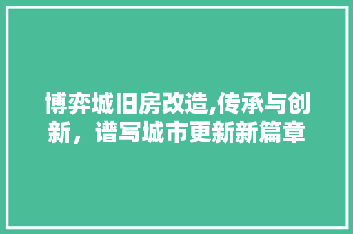 博弈城旧房改造,传承与创新，谱写城市更新新篇章 墙体维修