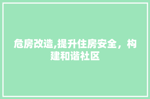 危房改造,提升住房安全，构建和谐社区 汽车维修