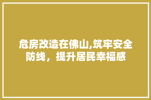危房改造在佛山,筑牢安全防线，提升居民幸福感 汽车维修