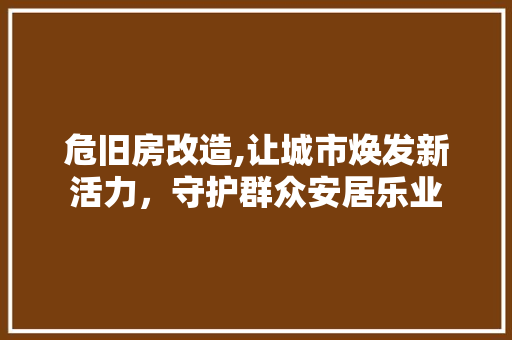 危旧房改造,让城市焕发新活力，守护群众安居乐业 家电维修
