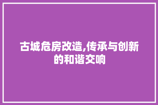 古城危房改造,传承与创新的和谐交响 综合便民