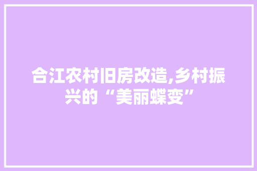 合江农村旧房改造,乡村振兴的“美丽蝶变” 墙体维修