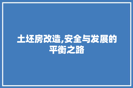 土坯房改造,安全与发展的平衡之路