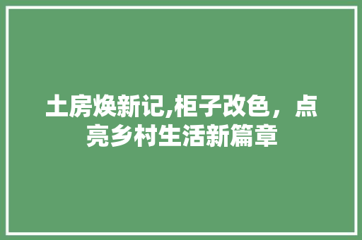 土房焕新记,柜子改色，点亮乡村生活新篇章 汽车维修