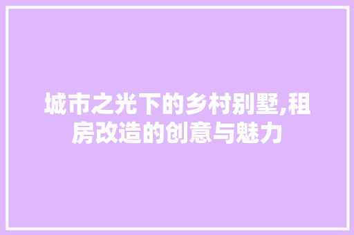 城市之光下的乡村别墅,租房改造的创意与魅力