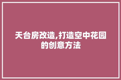 天台房改造,打造空中花园的创意方法 汽车维修