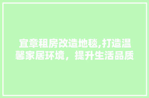 宜章租房改造地毯,打造温馨家居环境，提升生活品质