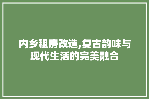 内乡租房改造,复古韵味与现代生活的完美融合