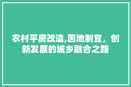 农村平房改造,因地制宜，创新发展的城乡融合之路