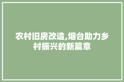 农村旧房改造,烟台助力乡村振兴的新篇章