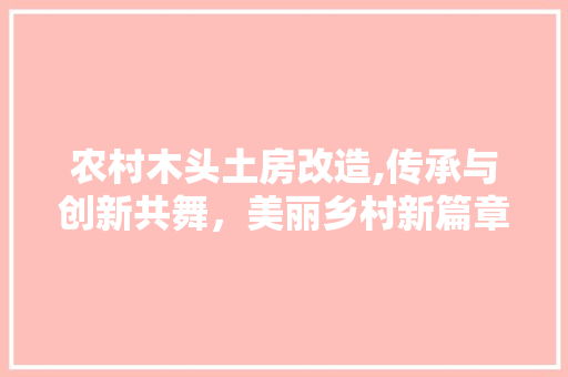 农村木头土房改造,传承与创新共舞，美丽乡村新篇章