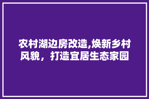 农村湖边房改造,焕新乡村风貌，打造宜居生态家园