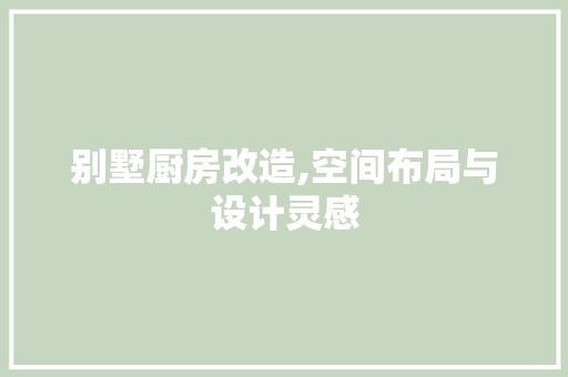 别墅厨房改造,空间布局与设计灵感 家电维修