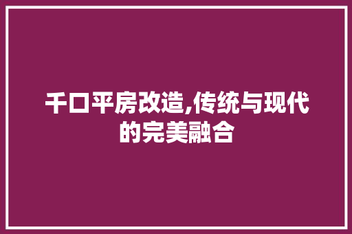 千口平房改造,传统与现代的完美融合