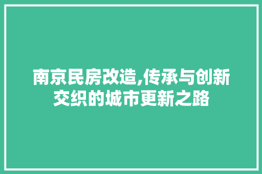 南京民房改造,传承与创新交织的城市更新之路