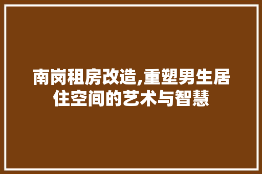 南岗租房改造,重塑男生居住空间的艺术与智慧